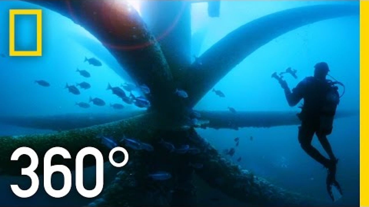 Dive Through an Oil Rig Ecosystem